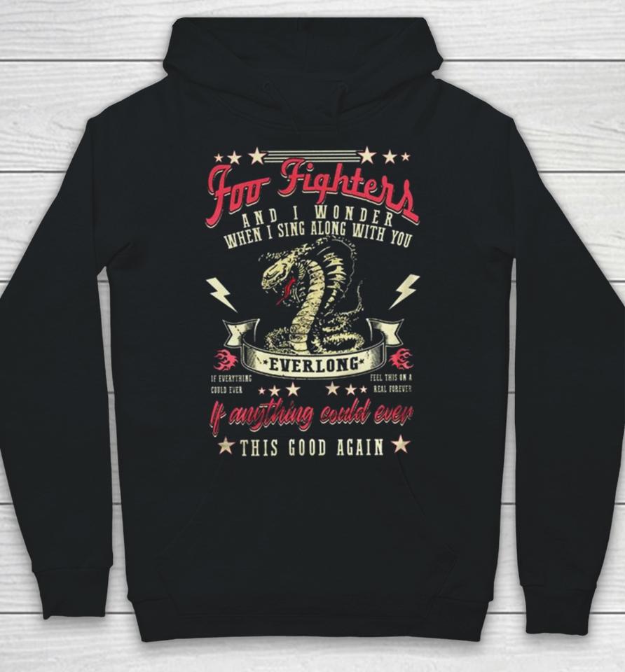 Foo Fighters And I Wonder When I Sing Along With You Hoodie