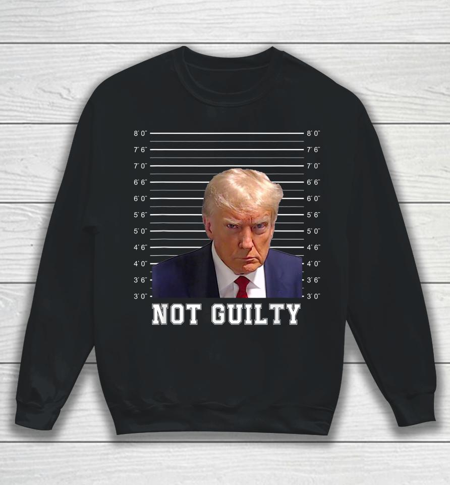 Free Donald Trump Mug Shot Republican President Maga 2024 Sweatshirt