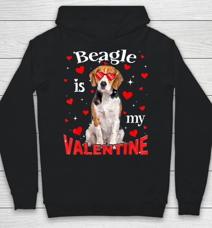 Funny Beagle Is My Valentine Dog Dad Dog Mom Hoodie