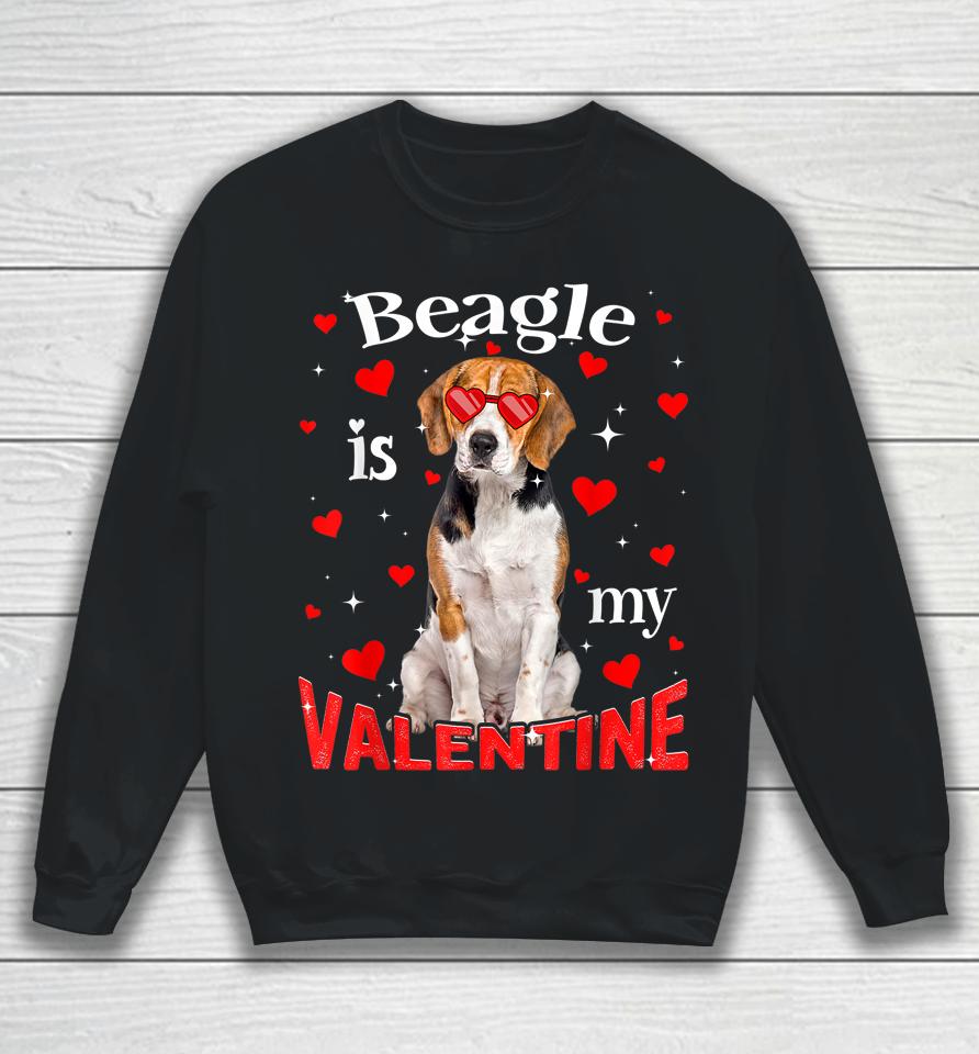 Funny Beagle Is My Valentine Dog Dad Dog Mom Sweatshirt