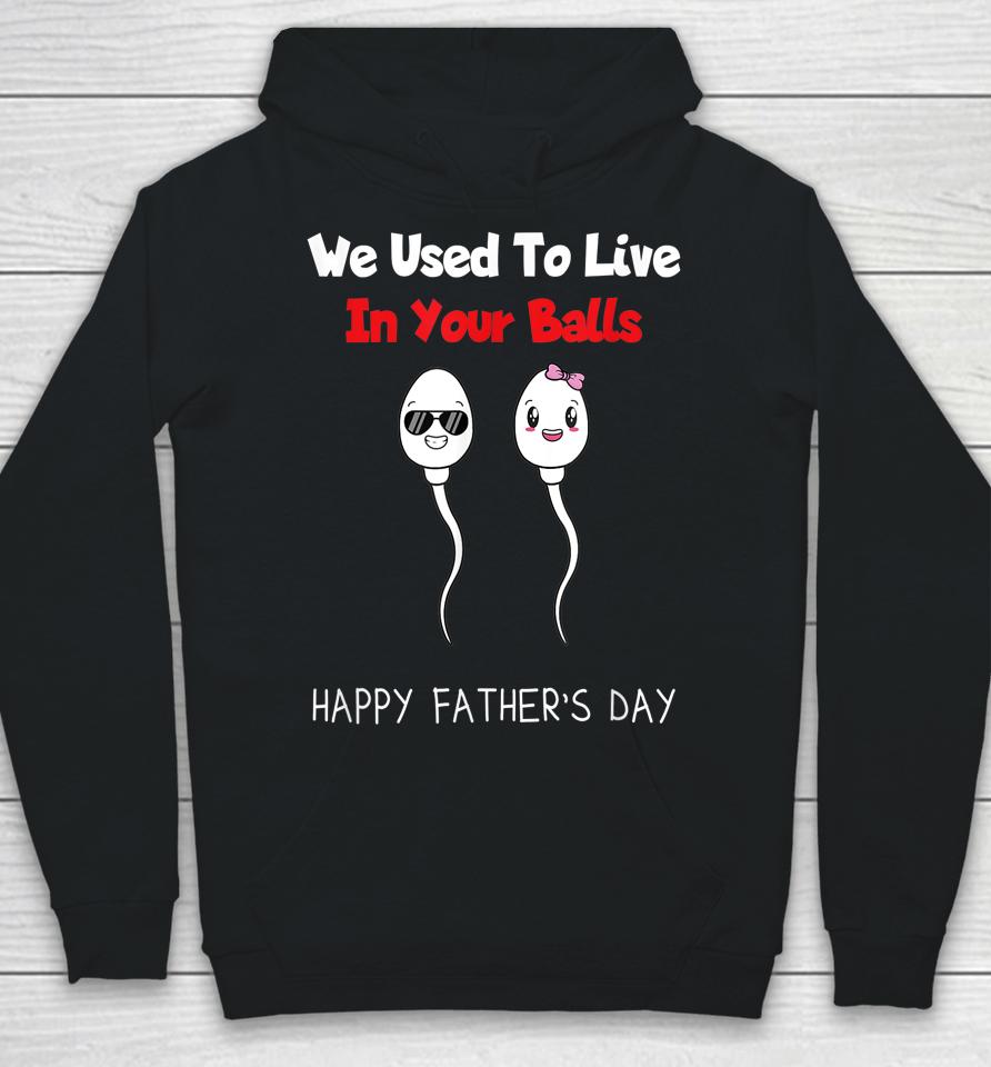 Funny Boy And Girl Fathers Day We Used To Live In Your Balls Hoodie