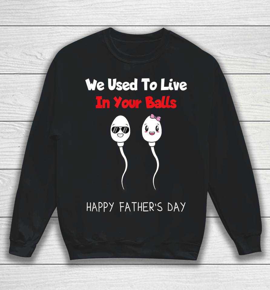 Funny Boy And Girl Fathers Day We Used To Live In Your Balls Sweatshirt