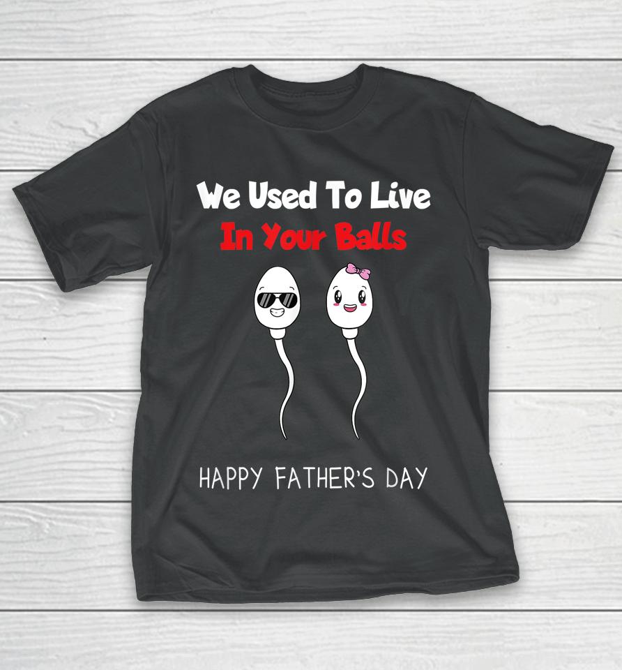 Funny Boy And Girl Fathers Day We Used To Live In Your Balls T-Shirt