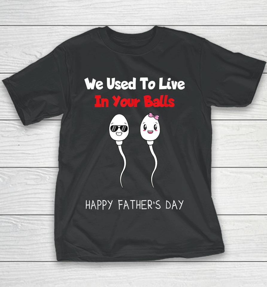 Funny Boy And Girl Fathers Day We Used To Live In Your Balls Youth T-Shirt