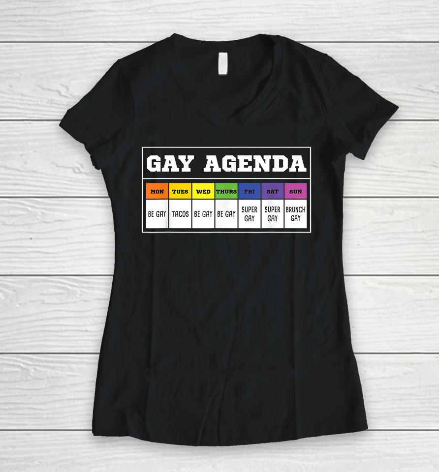 Gay Agenda Funny Women V-Neck T-Shirt