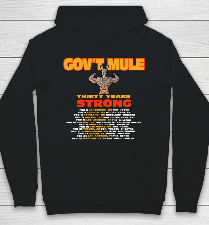 Gov't Mule To Mark 30Th Anniversary With 2024 North American Tour Hoodie