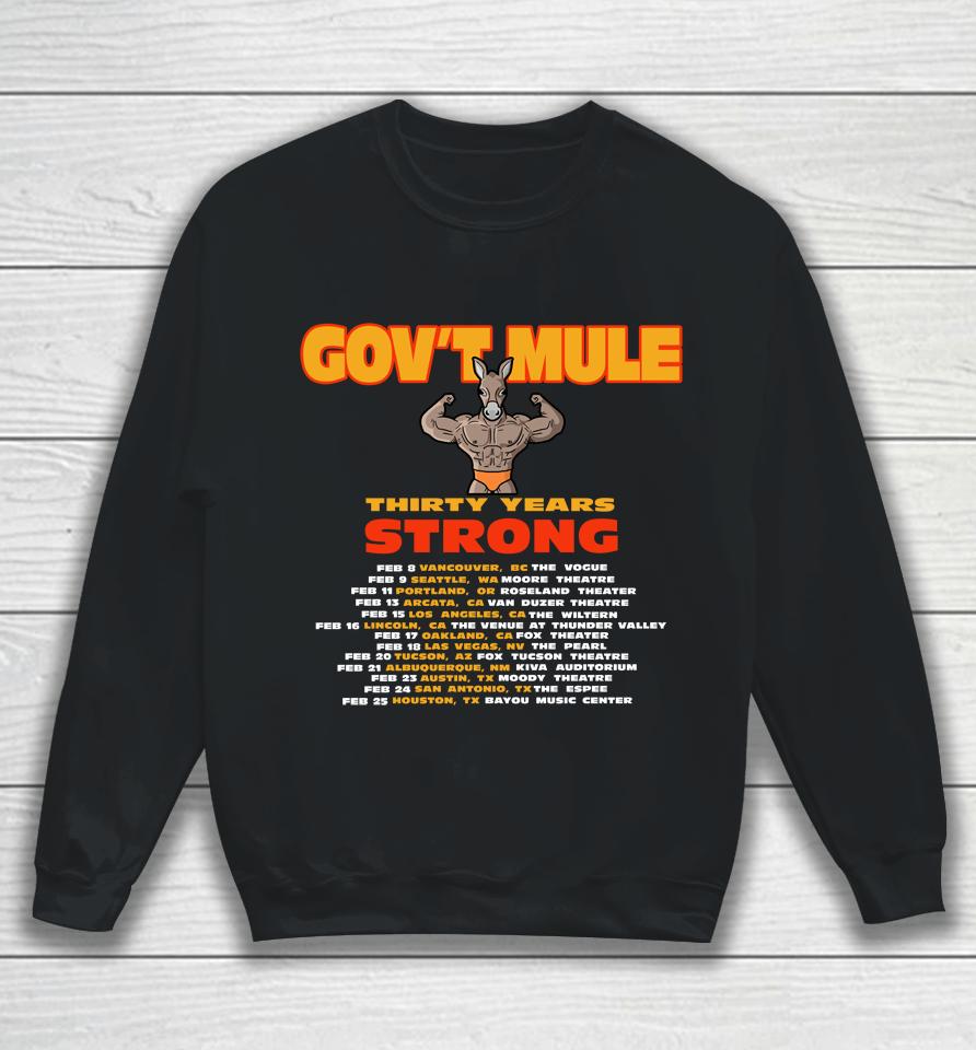 Gov't Mule To Mark 30Th Anniversary With 2024 North American Tour Sweatshirt