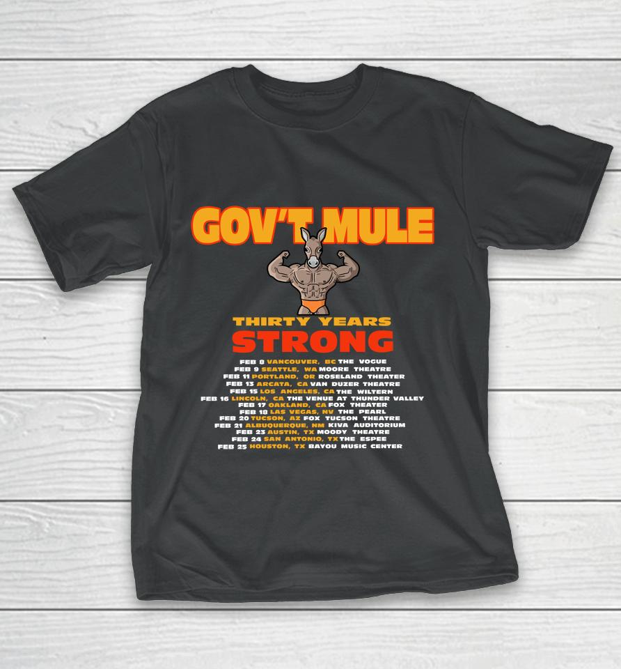 Gov't Mule To Mark 30Th Anniversary With 2024 North American Tour T-Shirt