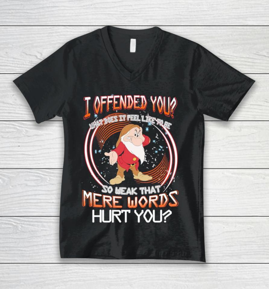 Grumpy I Offended You So Weak That Mere Words Hurt You Vintage Unisex V-Neck T-Shirt