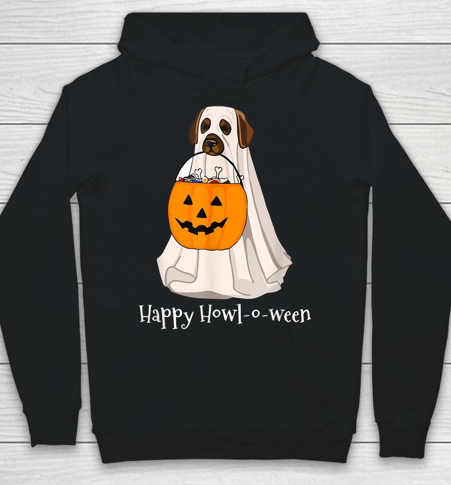 Halloween Dog With A Pumpkin Costume Hoodie