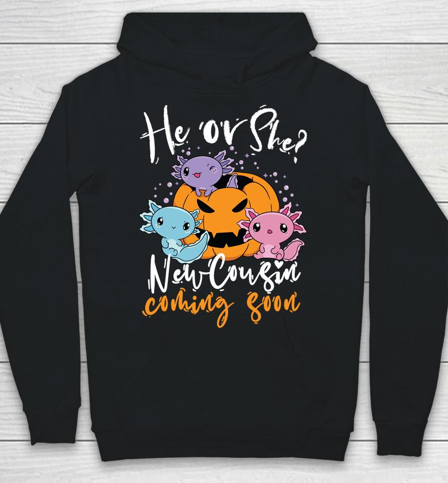 Halloween Gender Reveal He Or She Cousin Coming Boo Pumpkin Hoodie