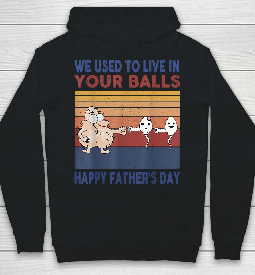 Happy Father's Day Boy I Used To Live In Your Balls Hoodie