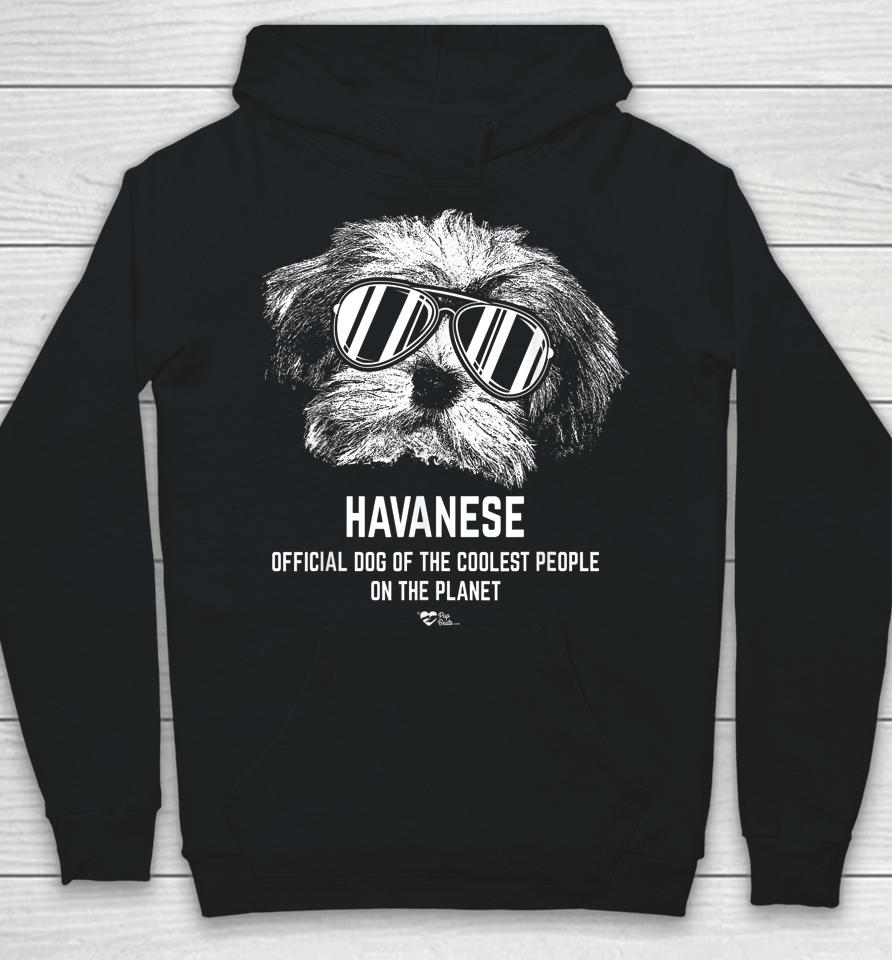 Havanese Official Dog Of The Coolest Pup Lovers Hoodie