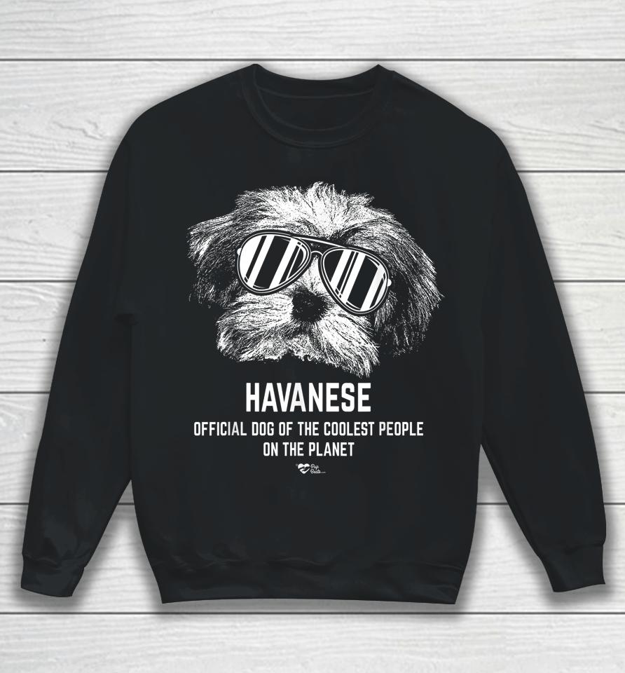Havanese Official Dog Of The Coolest Pup Lovers Sweatshirt