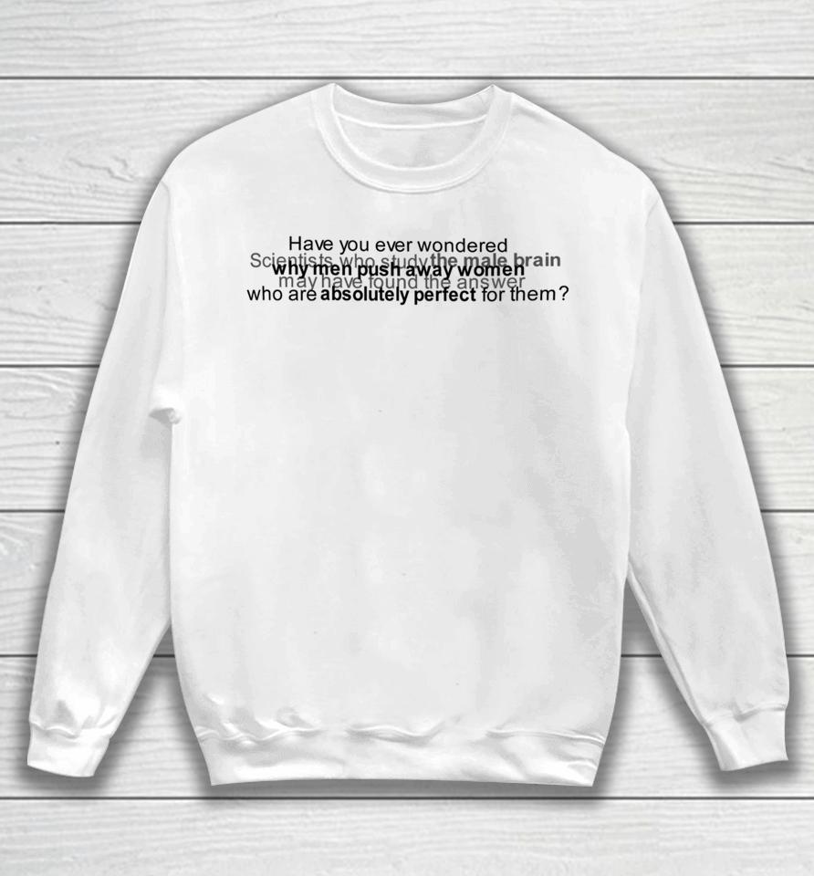 Have You Ever Wondered Scientists Who Study The Male Brain Sweatshirt