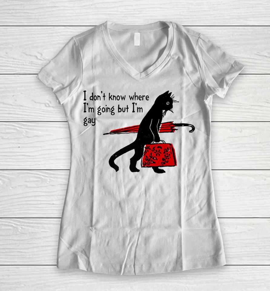 I Don't Know Where I'm Going But I'm Gay Funny Black Cat Women V-Neck T-Shirt