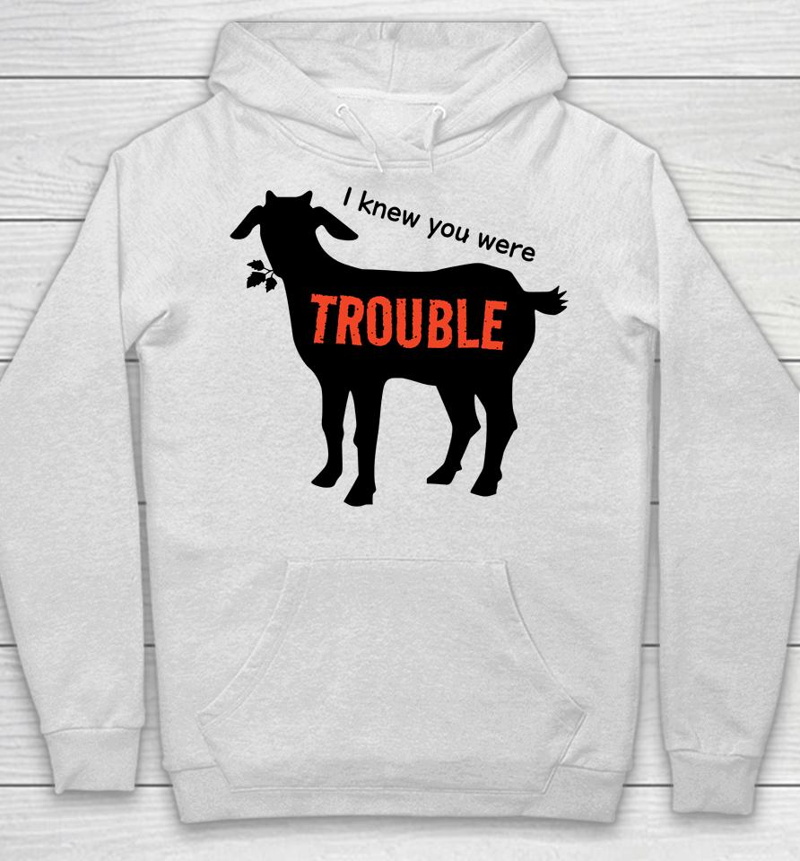 I Knew You Were Trouble Hoodie