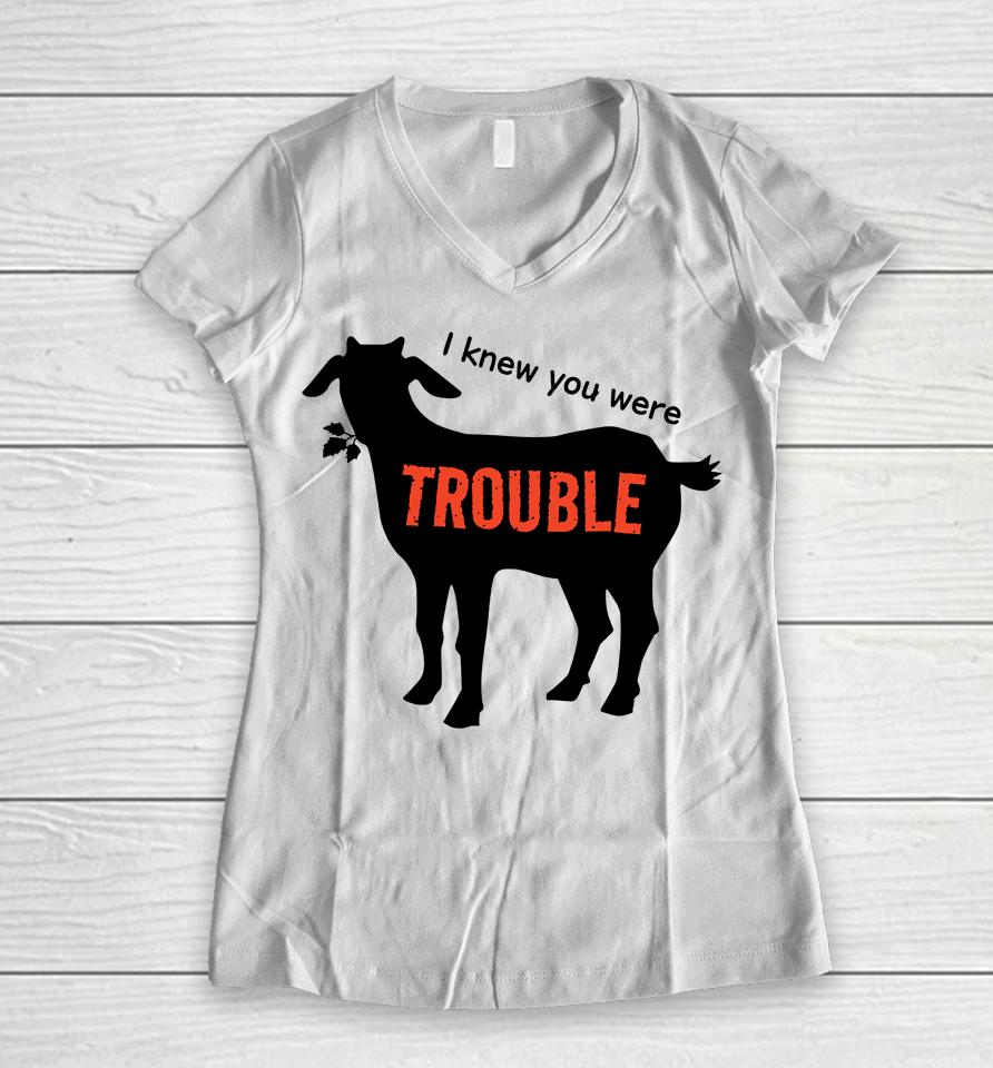 I Knew You Were Trouble Women V-Neck T-Shirt