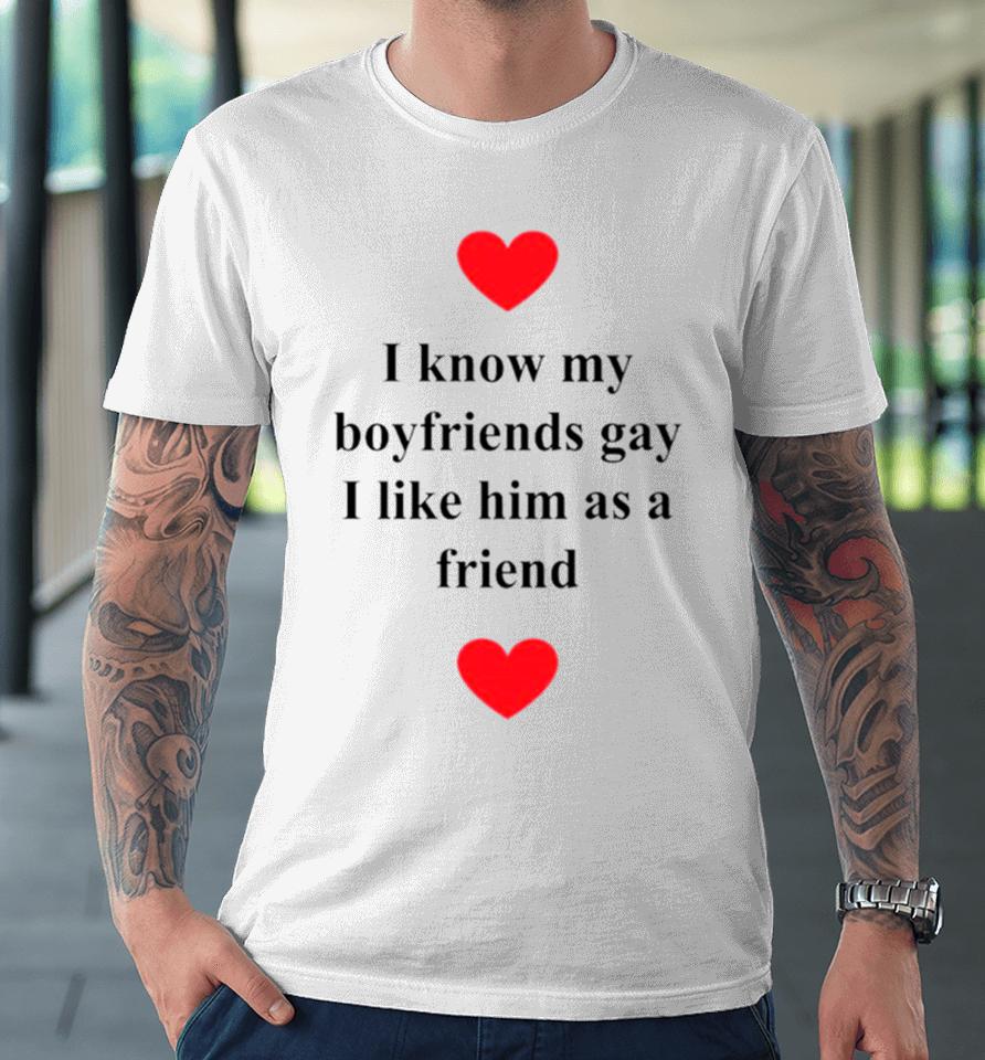 I Know My Boyfriends Gay I Like Him As A Friend Premium T-Shirt