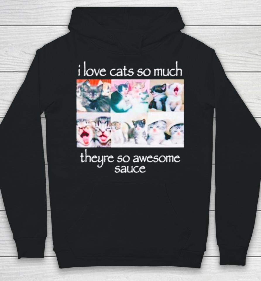 I Love Cats So Much Theyre So Awesome Sauce Hoodie