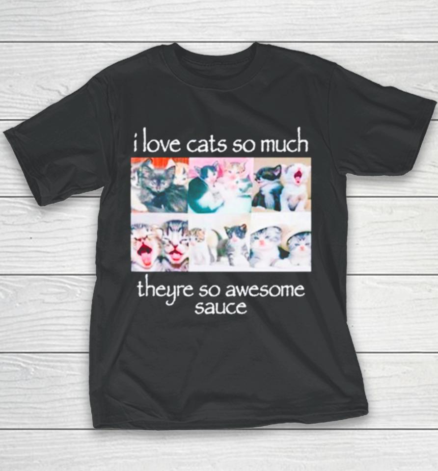 I Love Cats So Much Theyre So Awesome Sauce Youth T-Shirt
