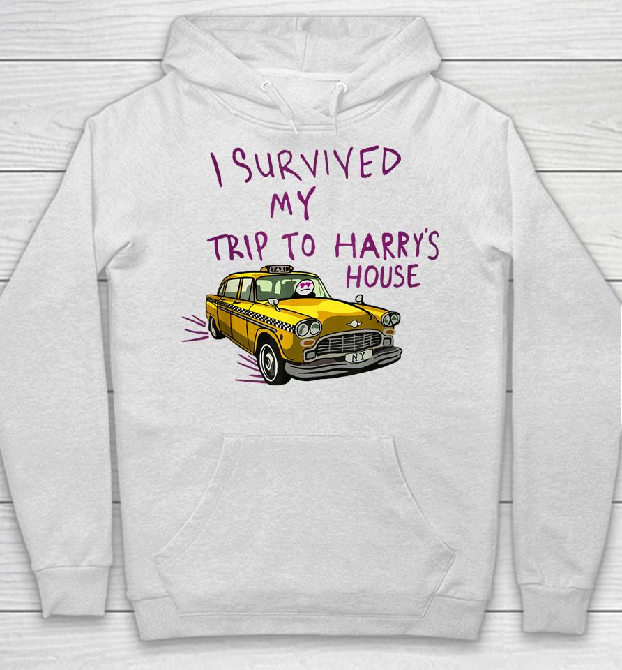 I Survived My Trip To Harry's House Hoodie