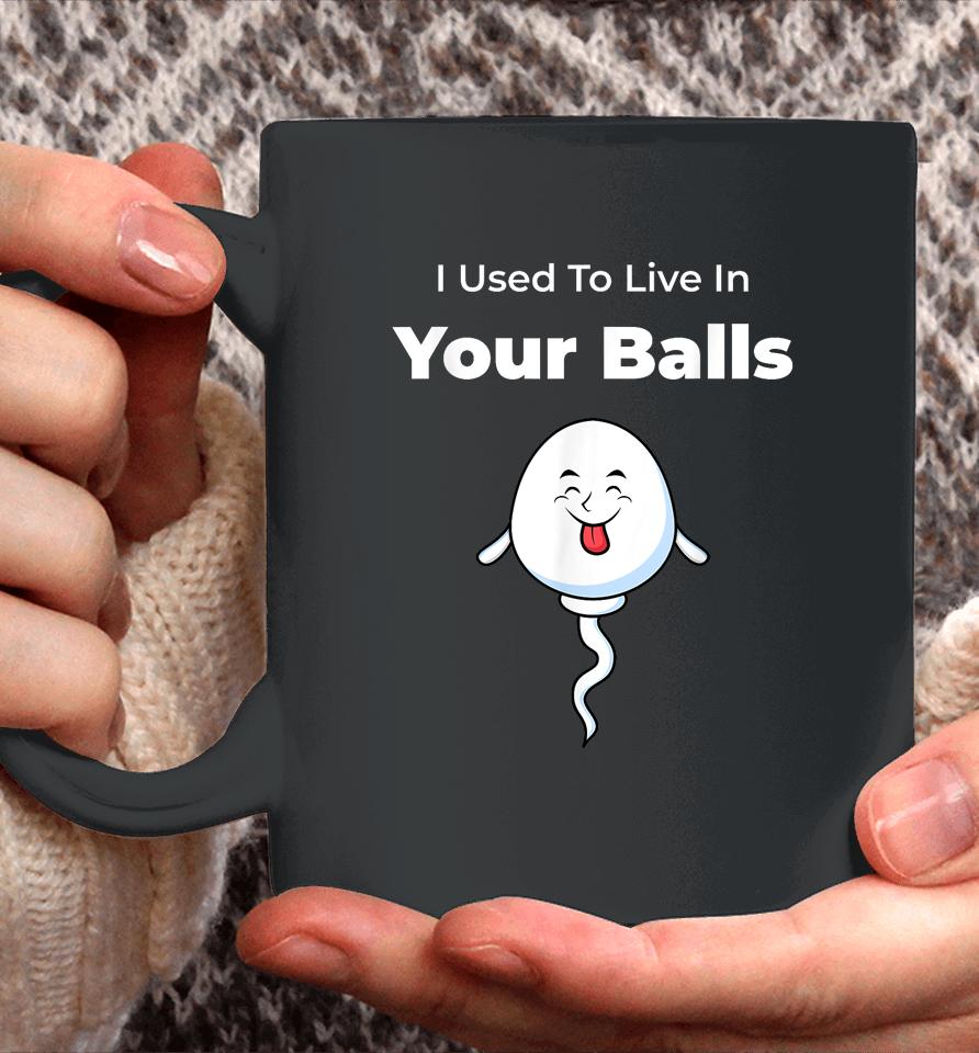 I Used To Live In Your Balls Funny, Silly Father's Day Coffee Mug