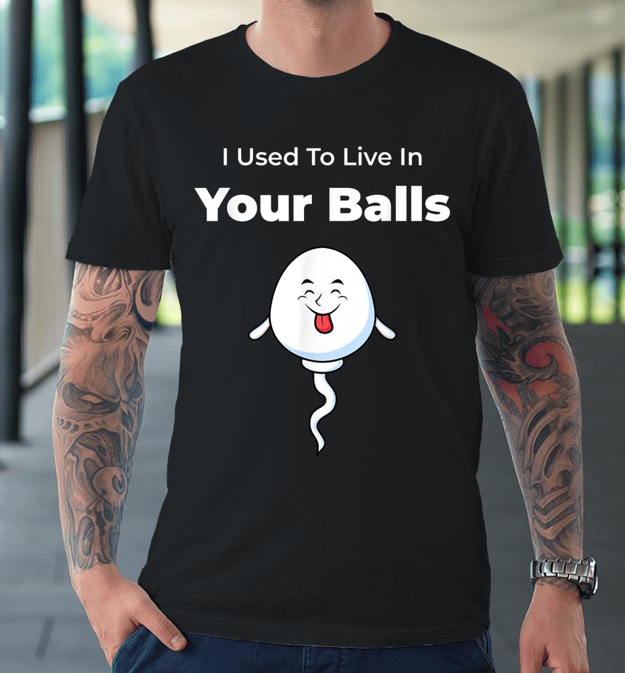 I Used To Live In Your Balls Funny, Silly Father's Day Premium T-Shirt
