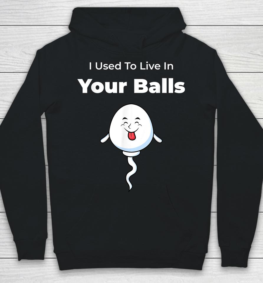 I Used To Live In Your Balls Funny, Silly Father's Day Hoodie