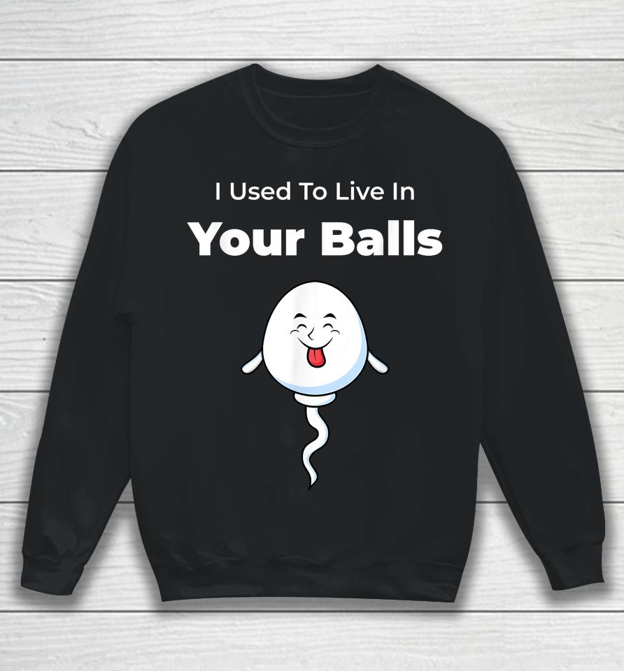 I Used To Live In Your Balls Funny, Silly Father's Day Sweatshirt
