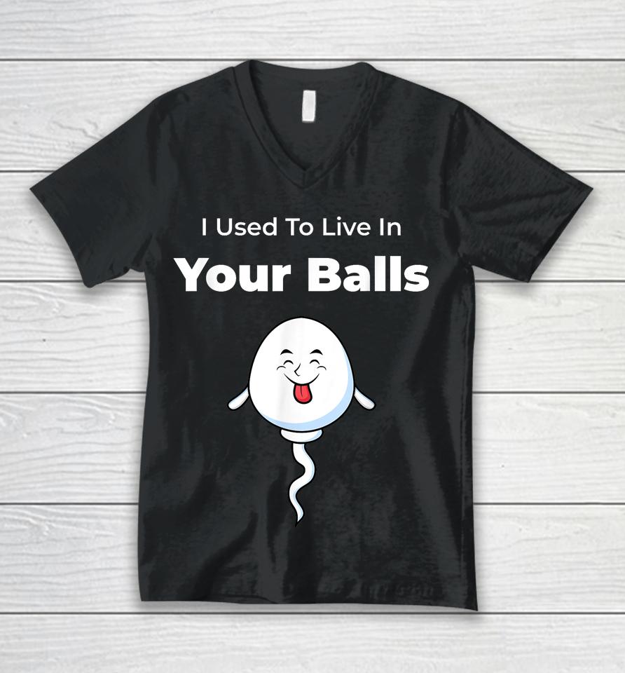 I Used To Live In Your Balls Funny, Silly Father's Day Unisex V-Neck T-Shirt
