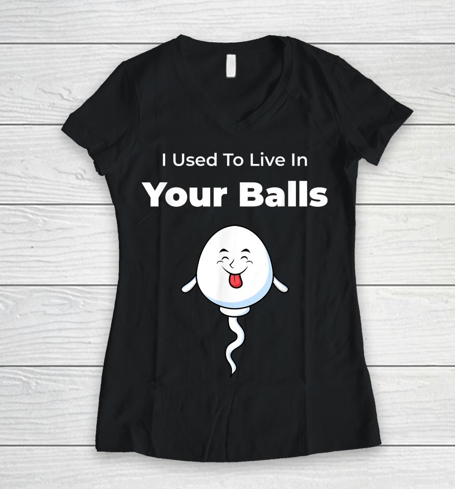 I Used To Live In Your Balls Funny, Silly Father's Day Women V-Neck T-Shirt