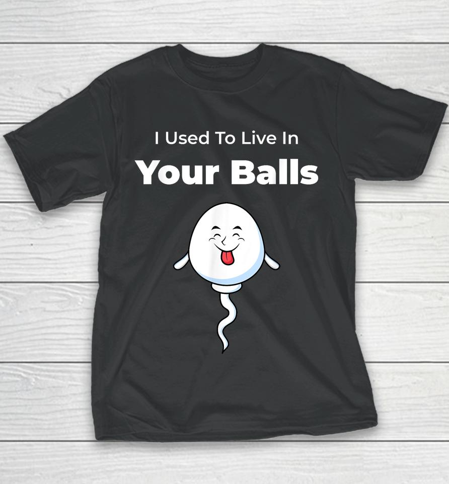 I Used To Live In Your Balls Funny, Silly Father's Day Youth T-Shirt