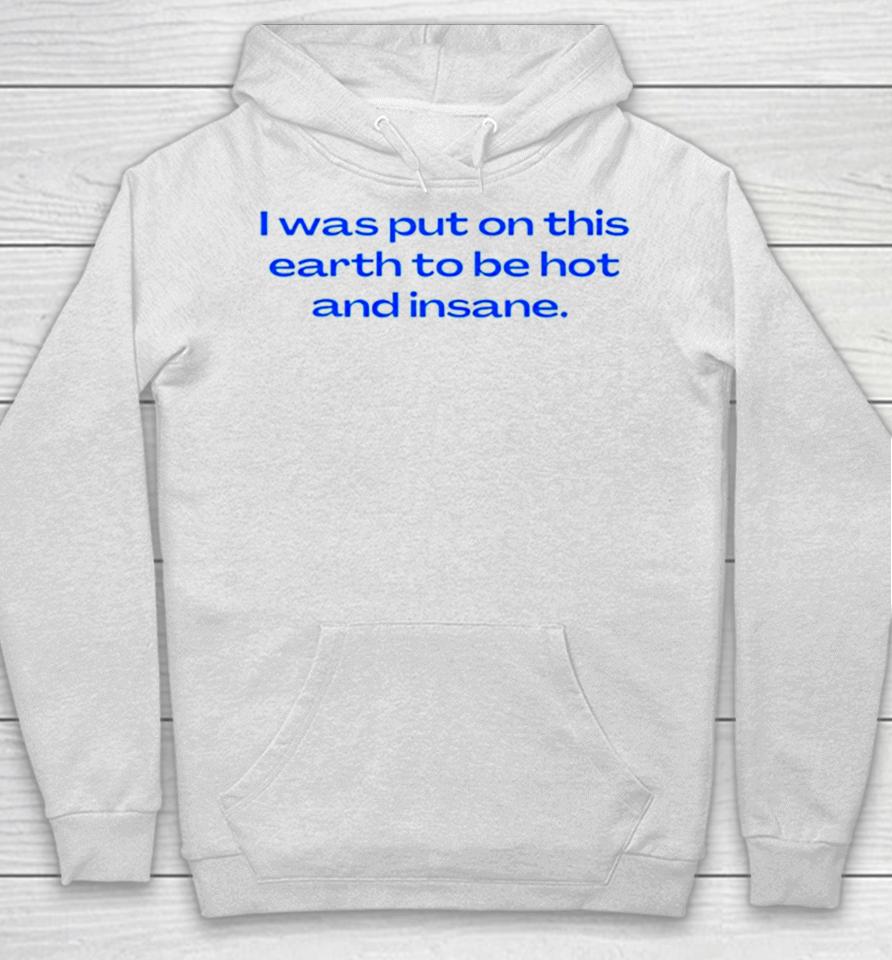 I Was Put On This Earth To Be Hot And Insane Hoodie