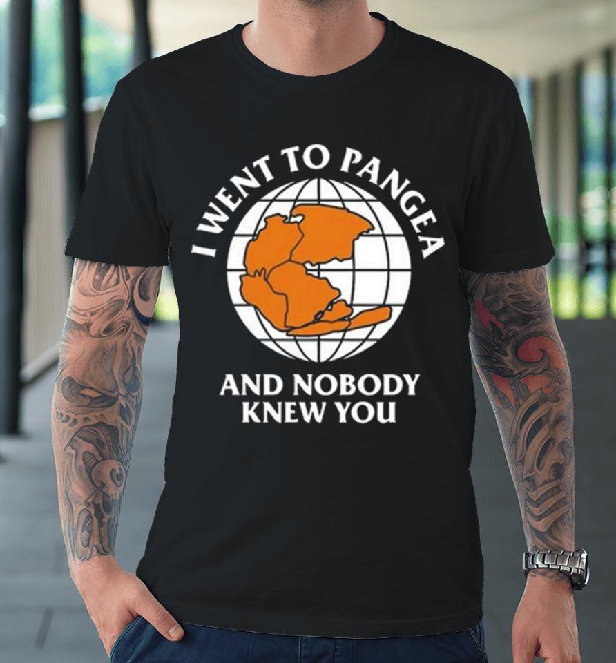 I Went To Pangea And Nobody Knew You Premium T-Shirt