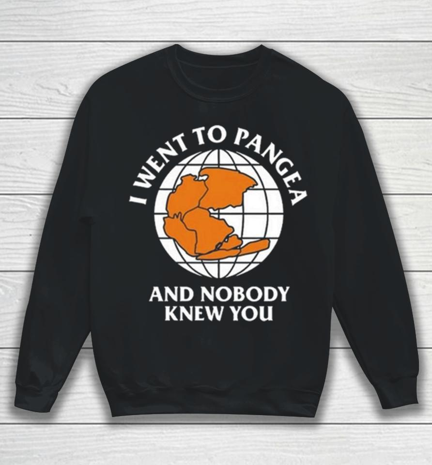 I Went To Pangea And Nobody Knew You Sweatshirt