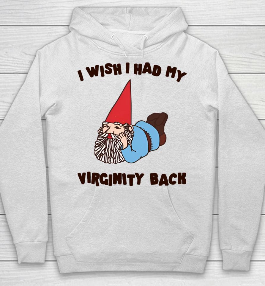 I Wish I Had My Virginity Back Hoodie