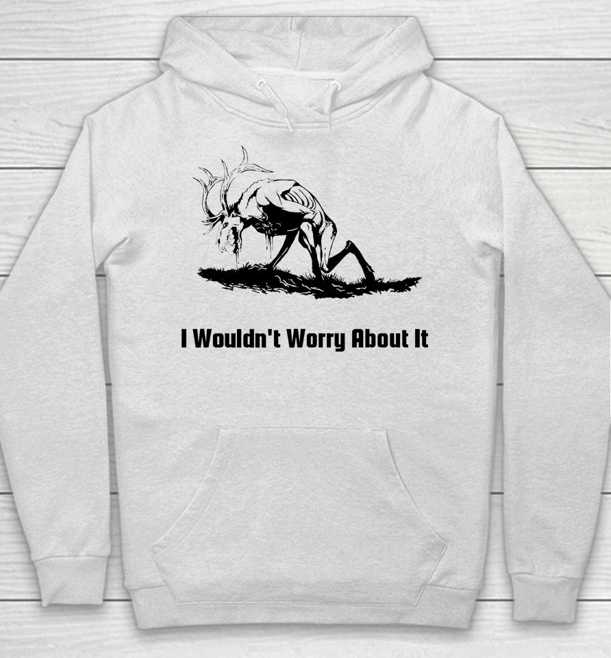 I Wouldn't Worry About It Hoodie
