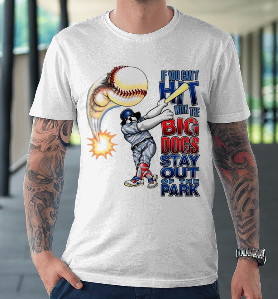 If You Can’t Hit With The Big Dog Stay Out Of The Park Baseball Premium T-Shirt