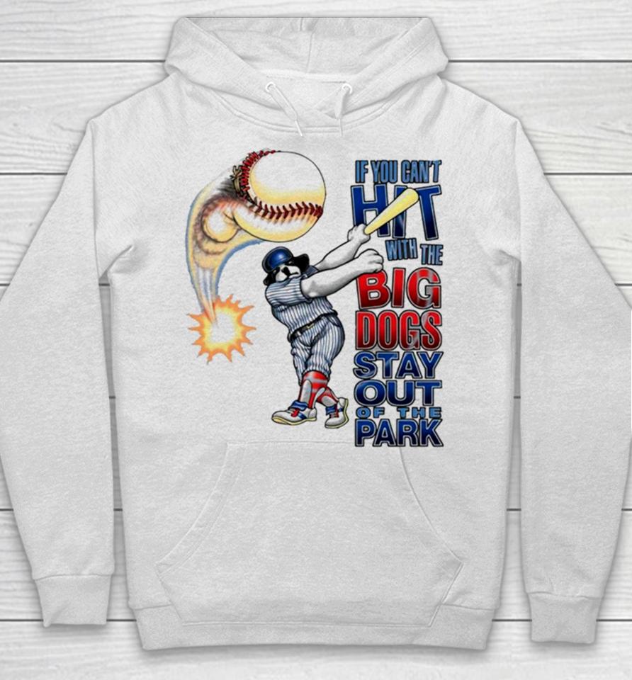 If You Can’t Hit With The Big Dog Stay Out Of The Park Baseball Hoodie