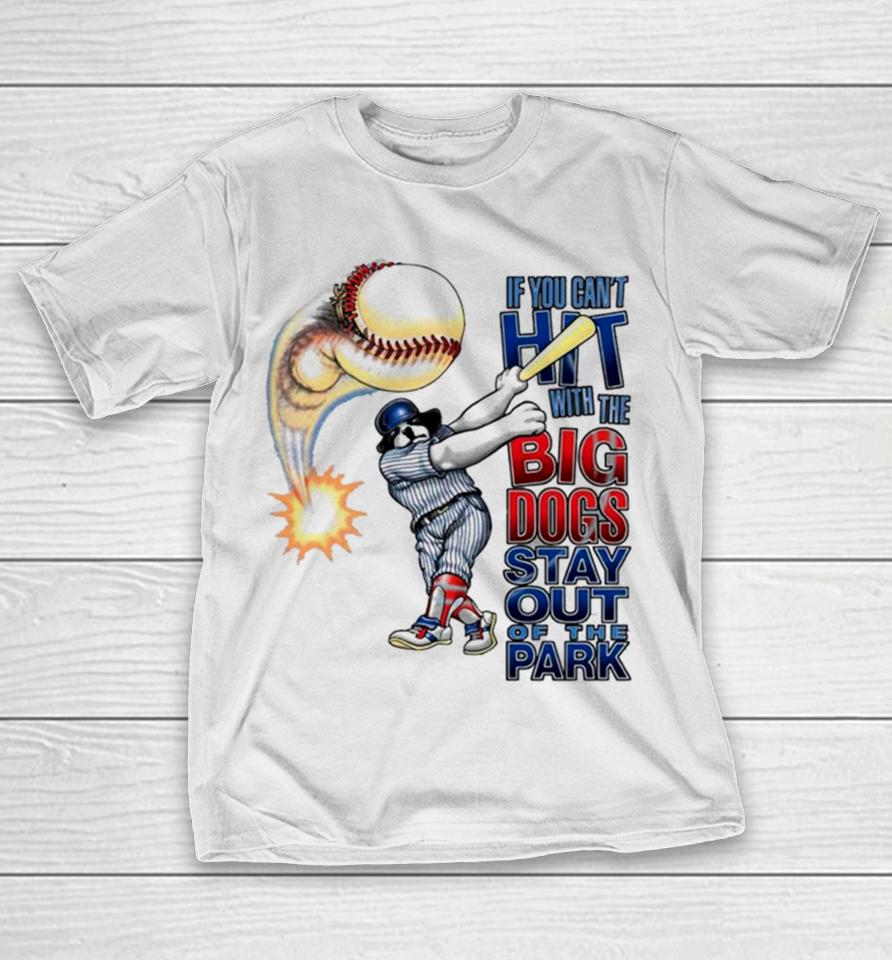 If You Can’t Hit With The Big Dog Stay Out Of The Park Baseball T-Shirt