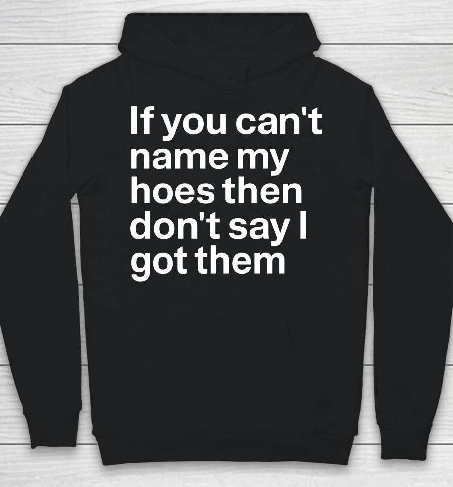 If You Can't Hoes Then Don't Say I Got Them Hoodie