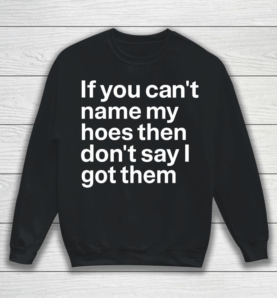 If You Can't Hoes Then Don't Say I Got Them Sweatshirt