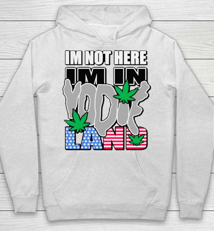 I’m Not Here I’m In Weed Usa Flag Hoodie