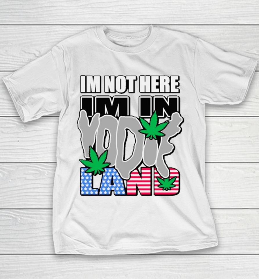 I’m Not Here I’m In Weed Usa Flag Youth T-Shirt