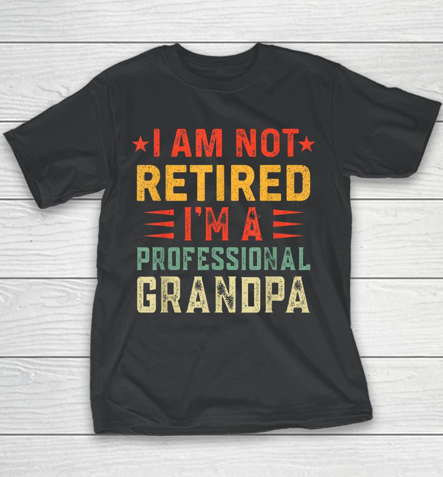 Im Not Retired Im A Professional Grandpa Fathers Day Youth T-Shirt