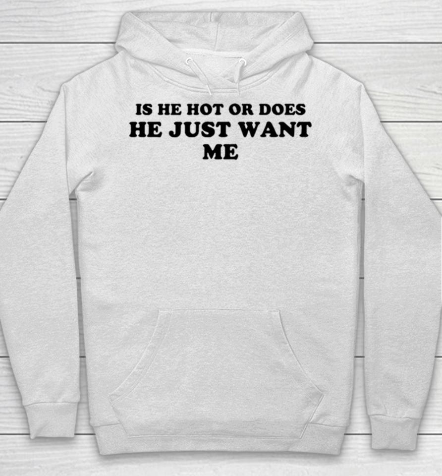 Is He Hot Or Does He Just Want Me Hoodie