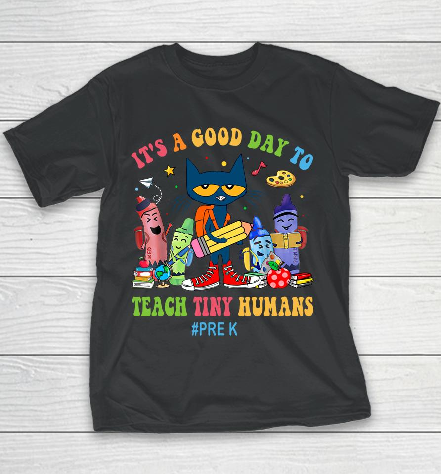 It's A Good Day To Teach Tiny Humans Pre-K Cat Teacher Lover Youth T-Shirt