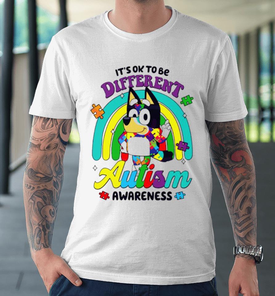 It’s Ok To Be Different Autism Awareness Bluey Support Premium T-Shirt