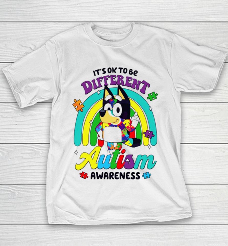 It’s Ok To Be Different Autism Awareness Bluey Support Youth T-Shirt